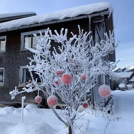 Holiday Geser Comfortable Vacation * Schnepfau